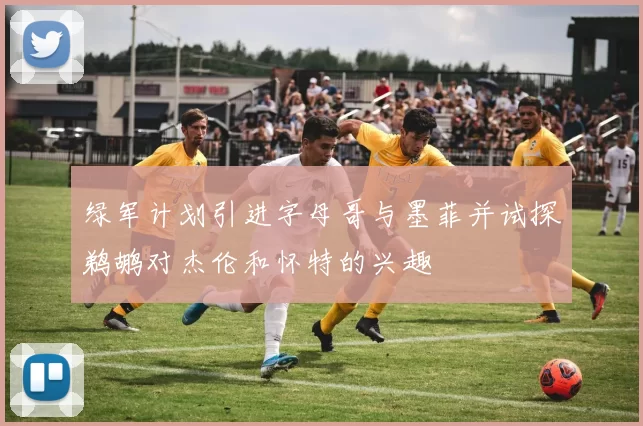 绿军计划引进字母哥与墨菲并试探鹈鹕对杰伦和怀特的兴趣